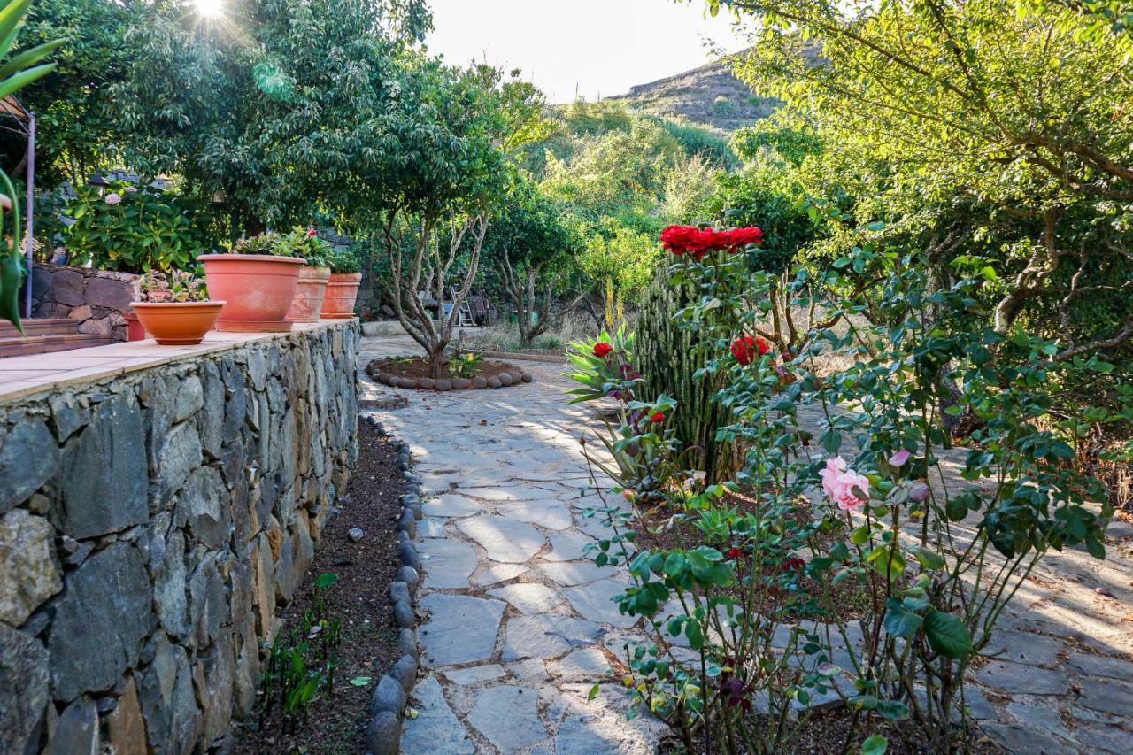 Villa La Casa Del Campo à Vega de San Mateo Extérieur photo
